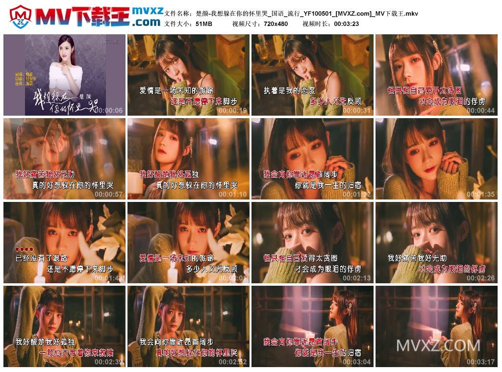 楚颜-我想躲在你的怀里哭_国语_流行_YF100501